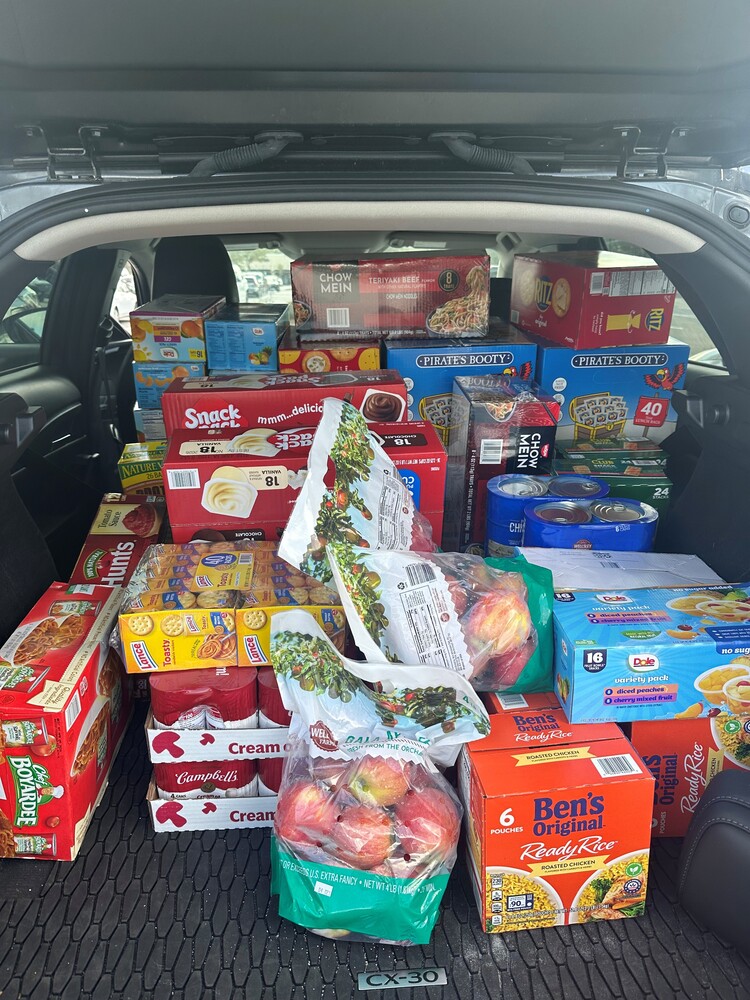 The trunk of a car completely full with groceries.